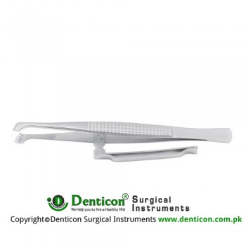 Childe Approximation Forceps Heavy Pattern With Clip Holder Stainless Steel, 17.5 cm - 7"